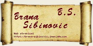 Brana Sibinović vizit kartica